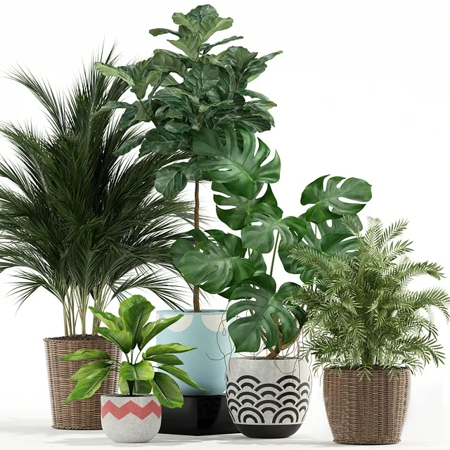 decoration – Plants collection 115 3D Model