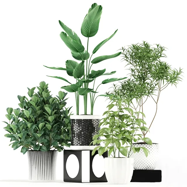 decoration – Plants collection 118 3D Model