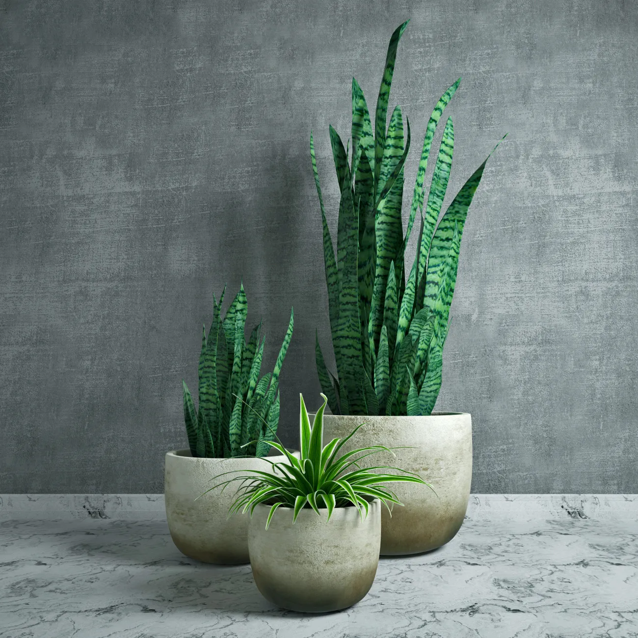 decoration – Plants collection 12 3D Model