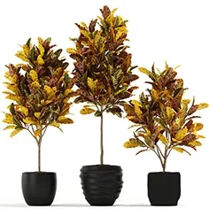 decoration – Plants collection 120 3D Model