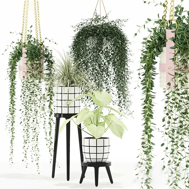 decoration – Plants collection 121 3D Model