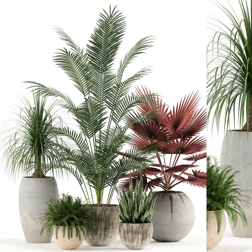 decoration – Plants collection 122 3D Model