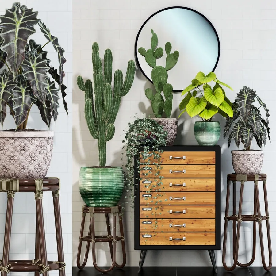 decoration – Plants collection 123 3D Model