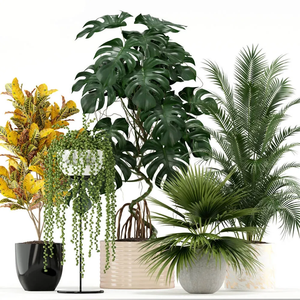 decoration – Plants collection 124 3D Model