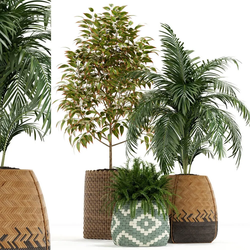 decoration – Plants collection 126 3D Model