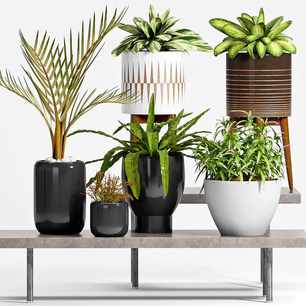 decoration – Plants collection 127 3D Model