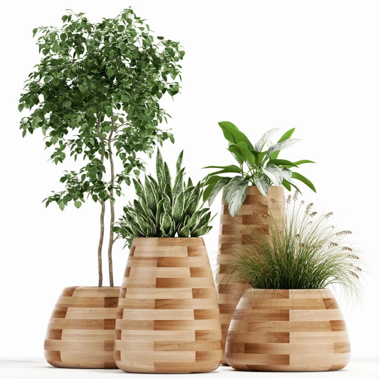 decoration – Plants collection 129 3D Model