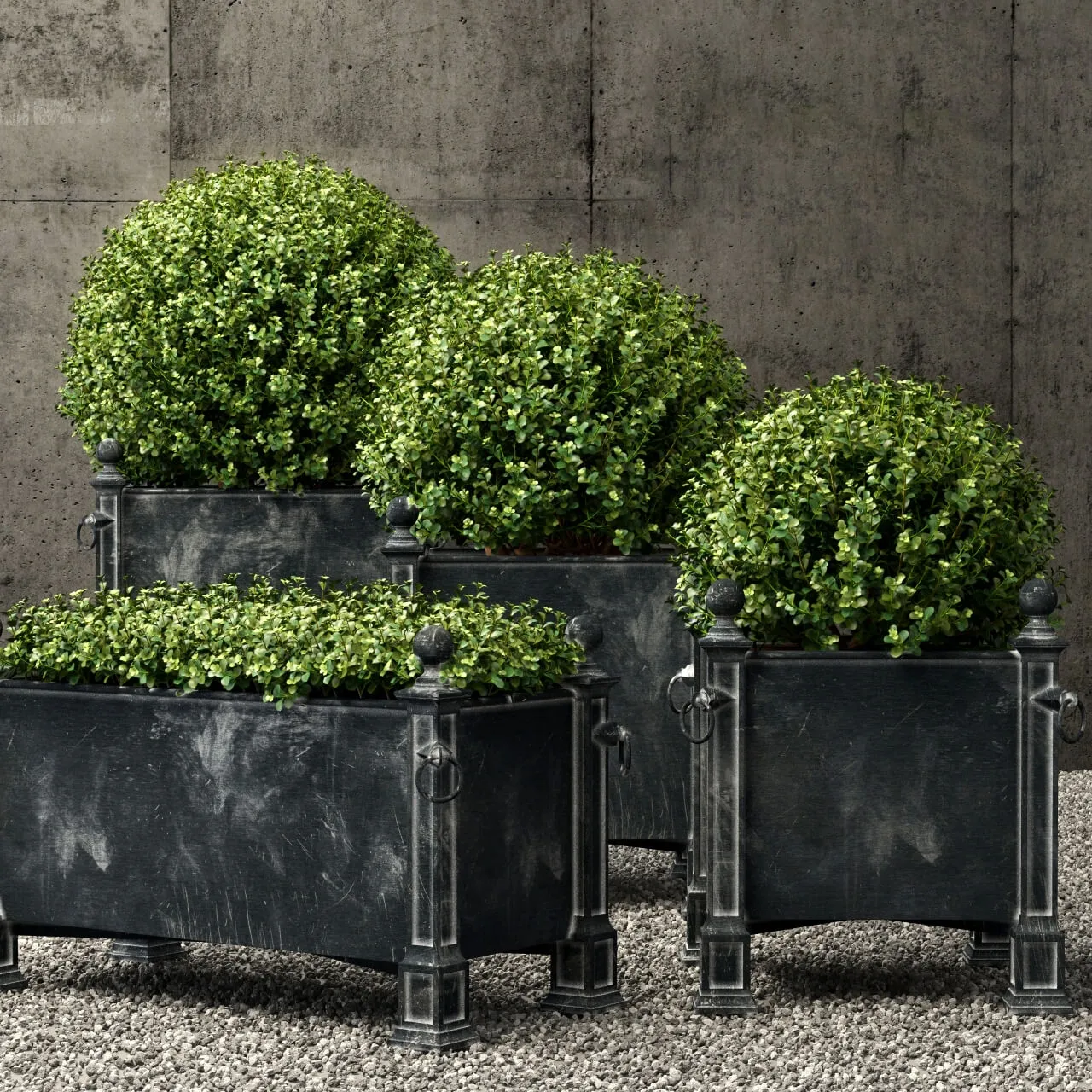 decoration – Plants collection 156 3D Model