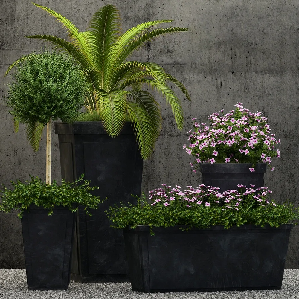 decoration – Plants collection 177 3D Model