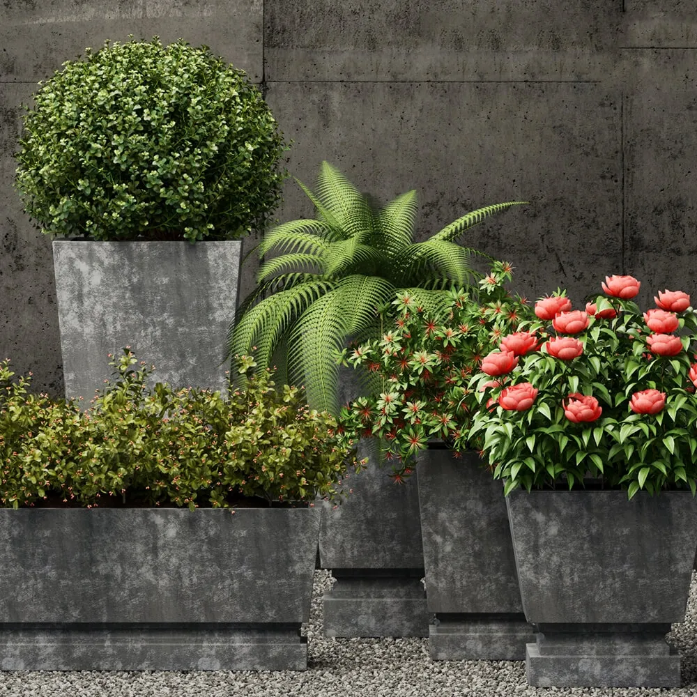 decoration – Plants collection 211 3D Model