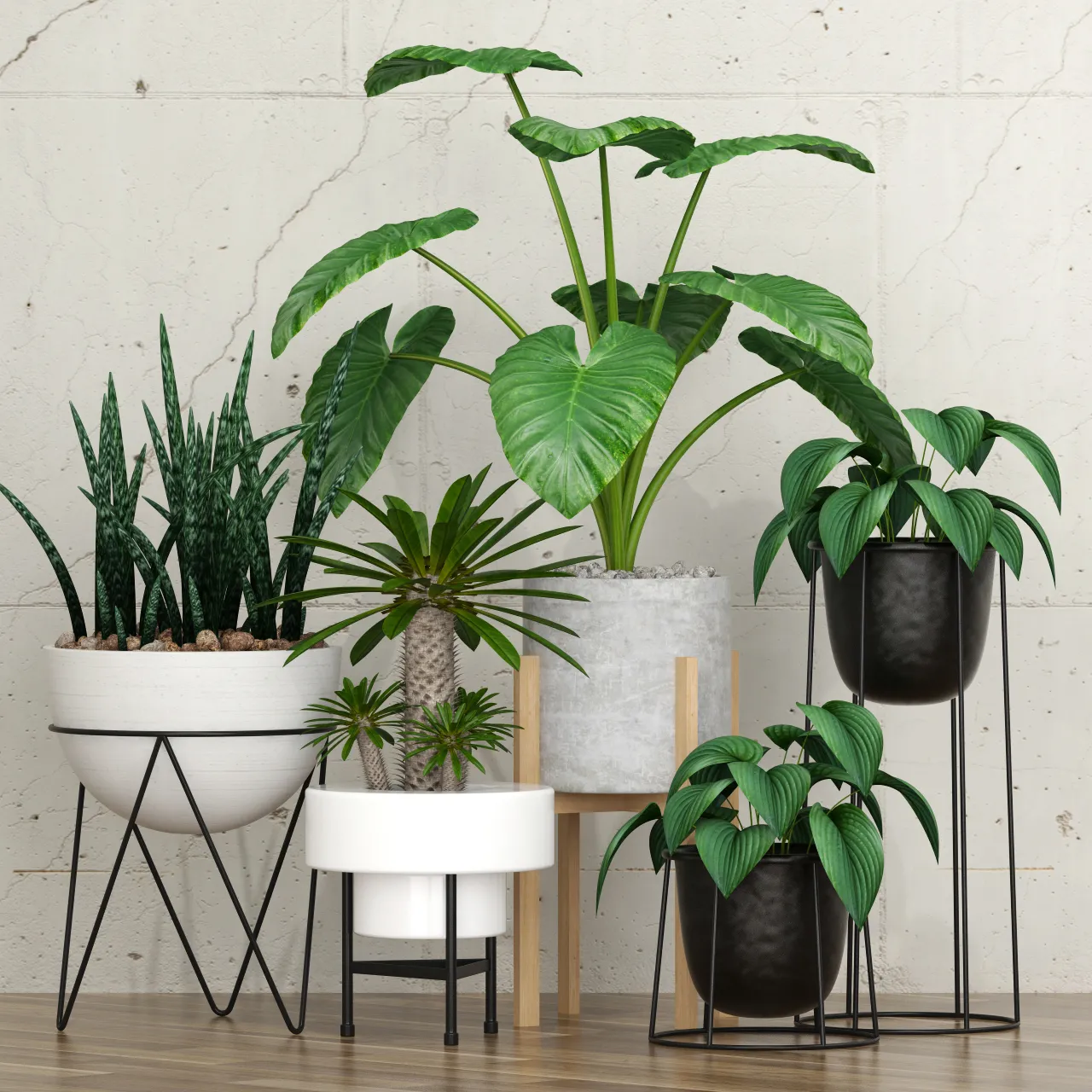 decoration – Plants collection 213 3D Model decoration – Plants collection 213 3D Model