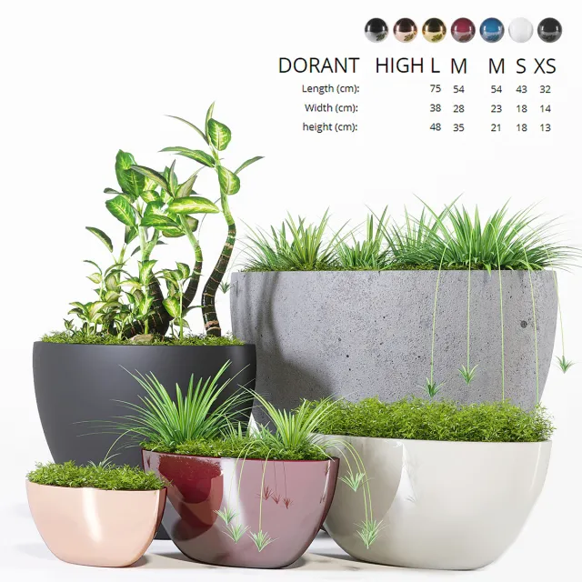 decoration – Plants collection 321 3D Model