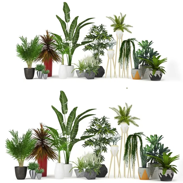 decoration – Plants collection 3D Model