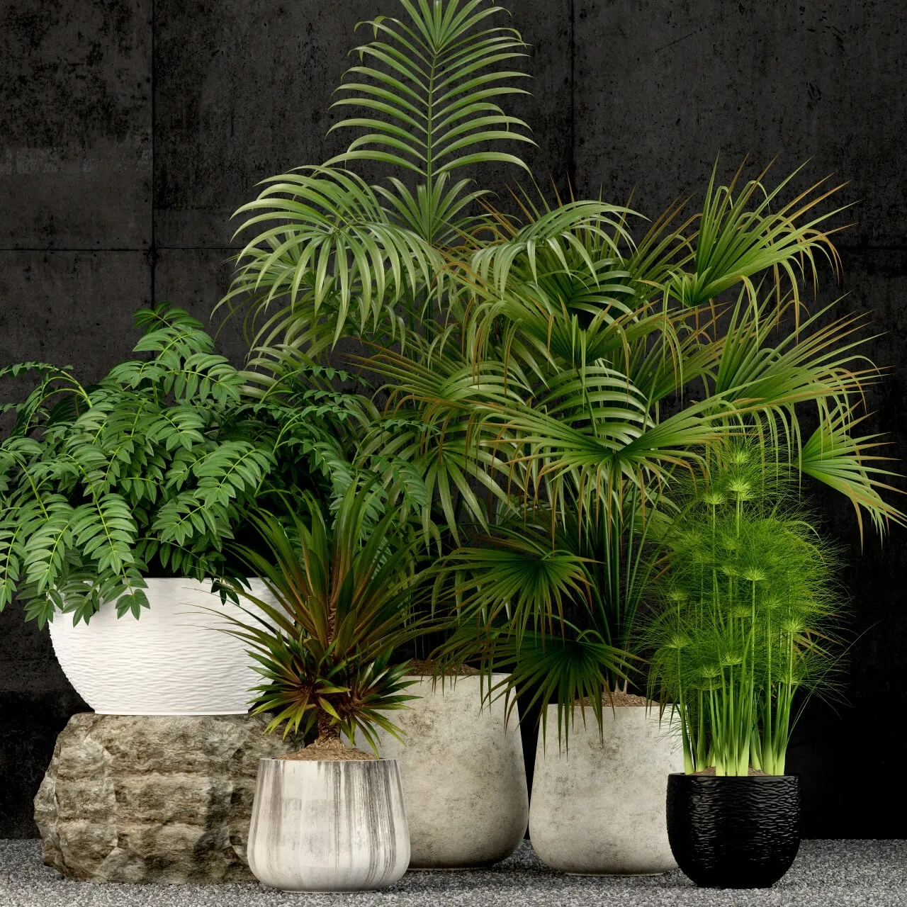 decoration – Plants collection 53 3D Model