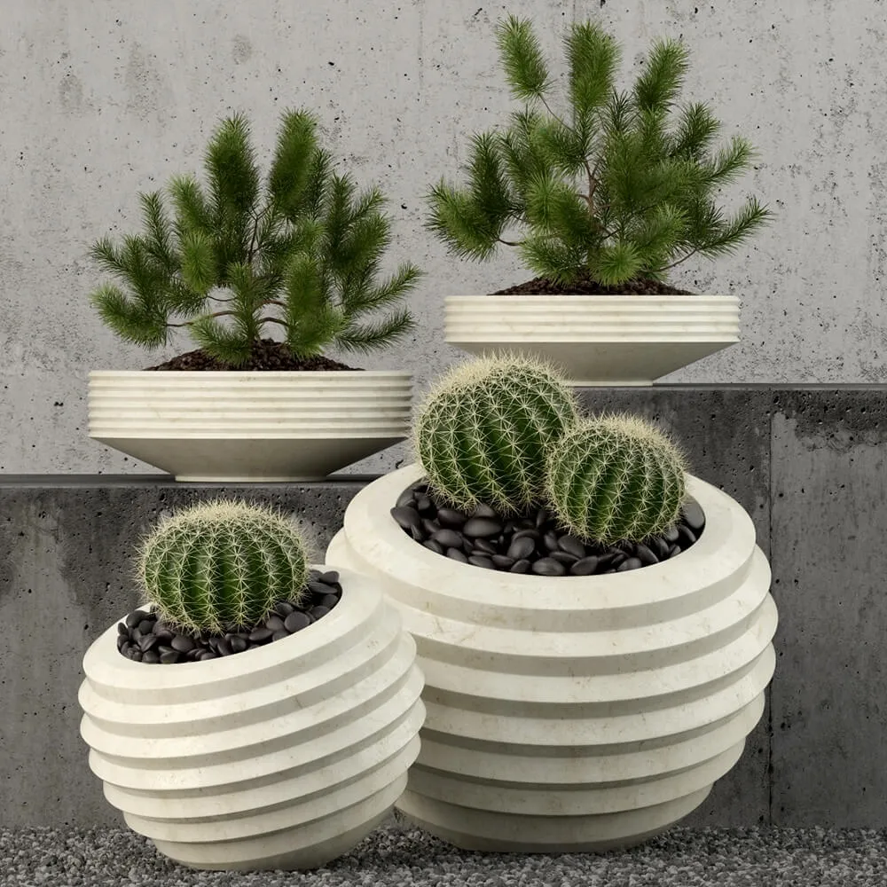 decoration – Plants collection 58 3D Model