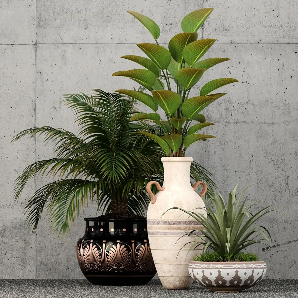 decoration – Plants collection 59 3D Model