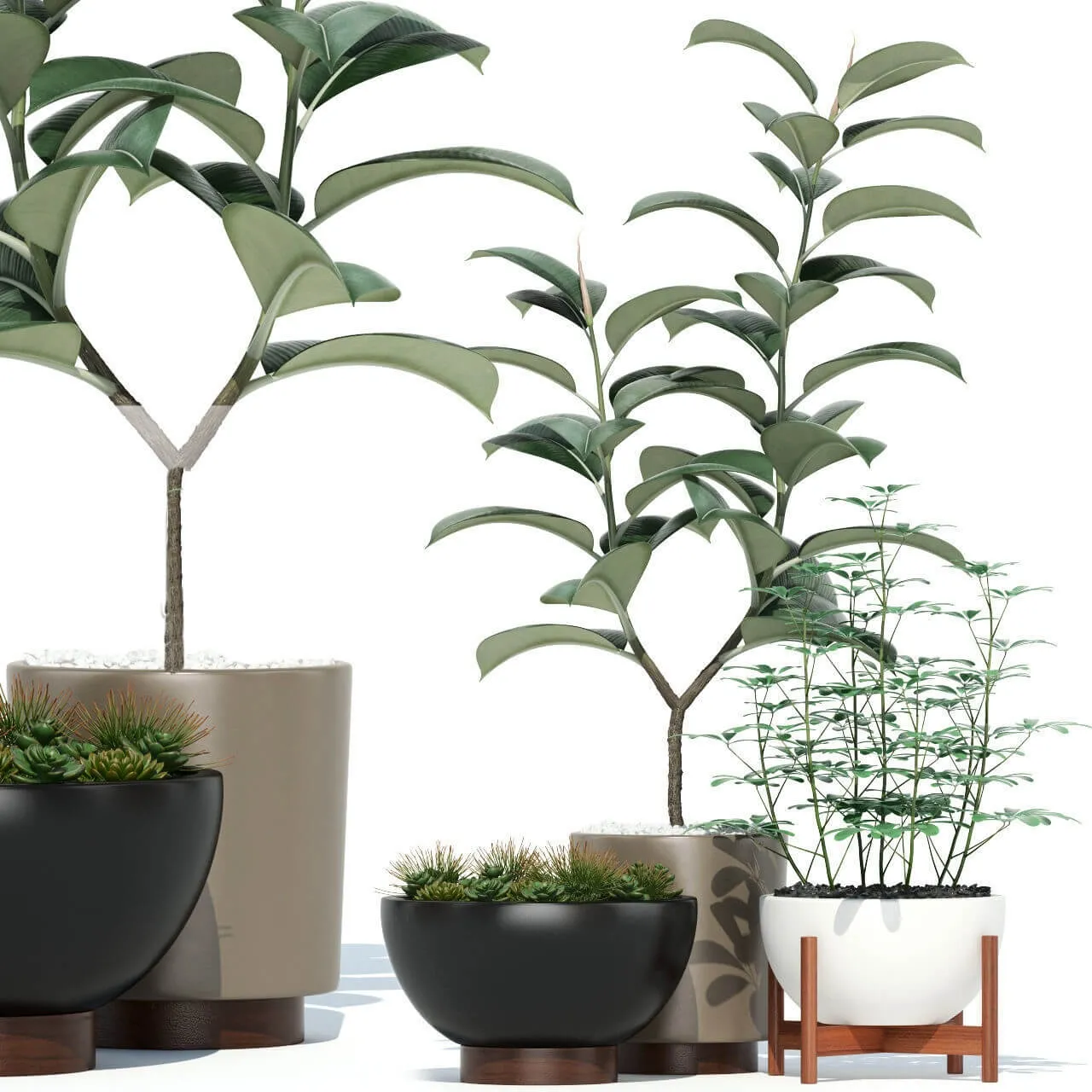 decoration – Plants collection 73 Modernica pots 3D Model