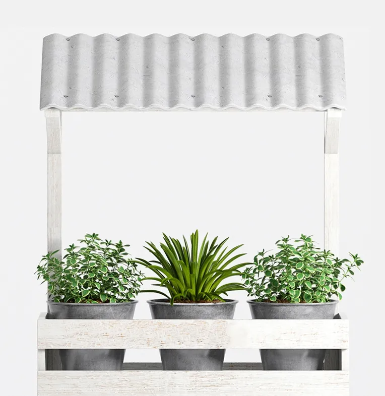 decoration – Plants collection 885 3D Model