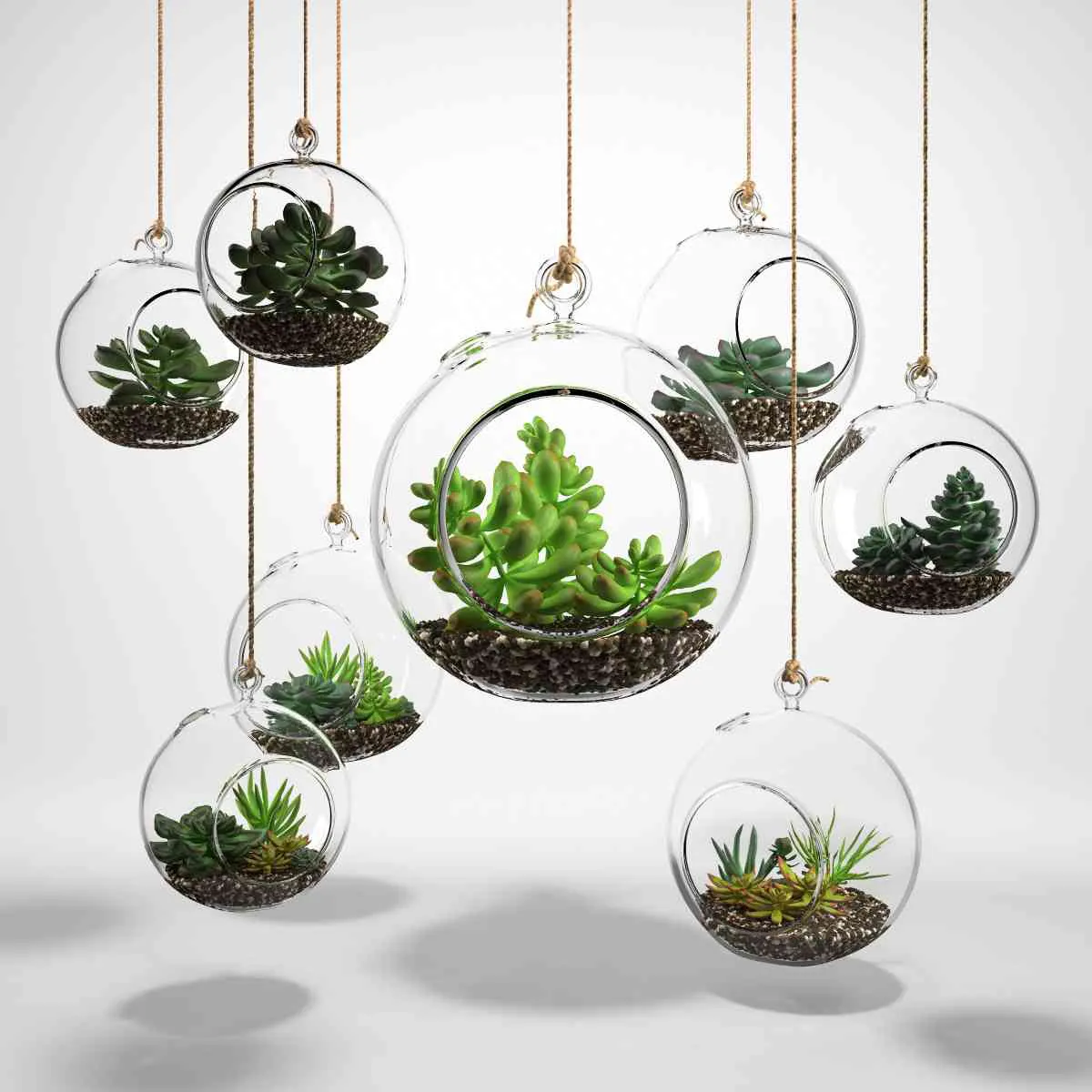 decoration – Plants decoration 07 3D Model