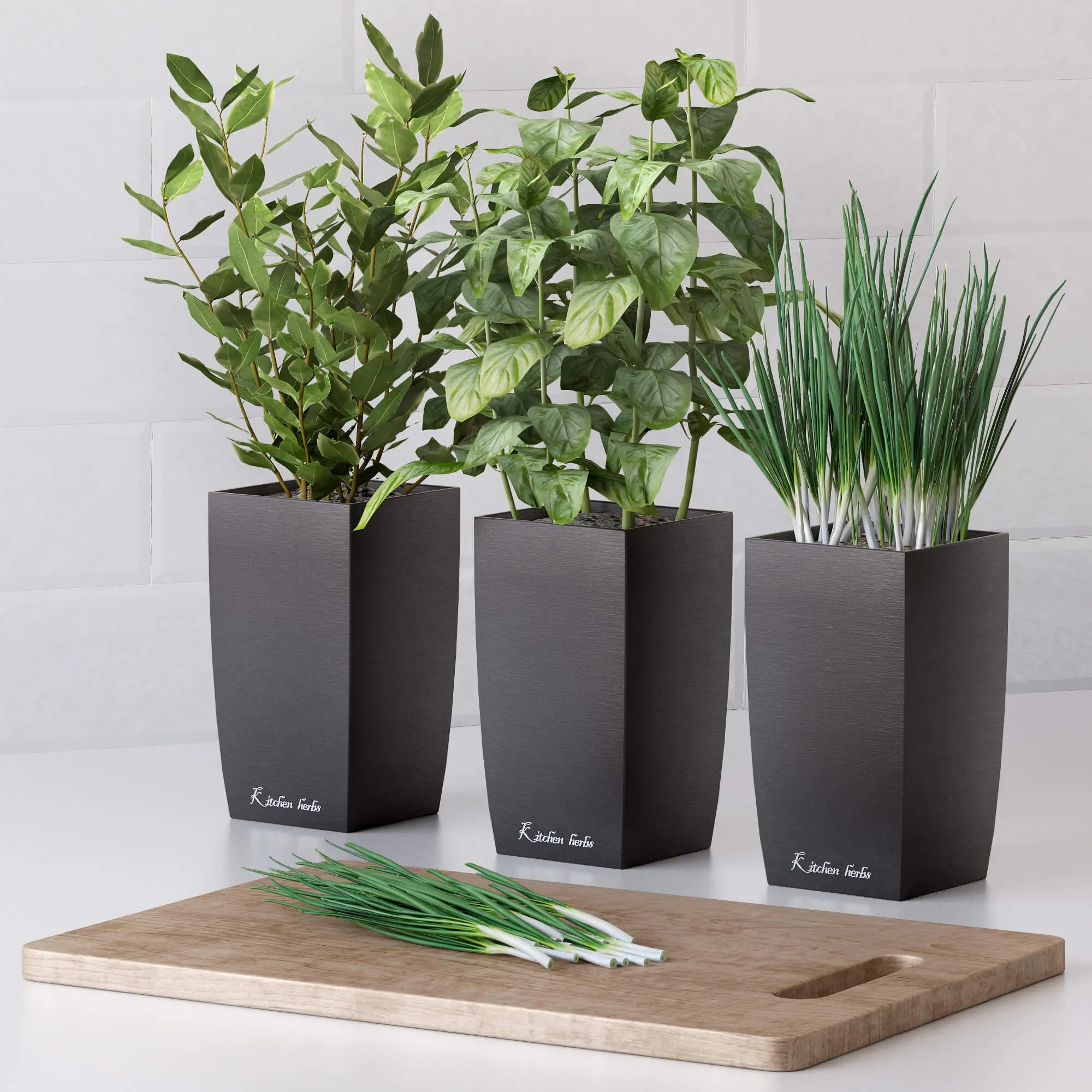 decoration – Plants for the kitchen 2 3D Model