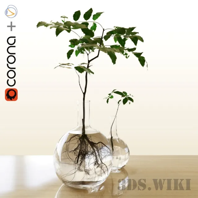 decoration – Plants in a flask 3D Model