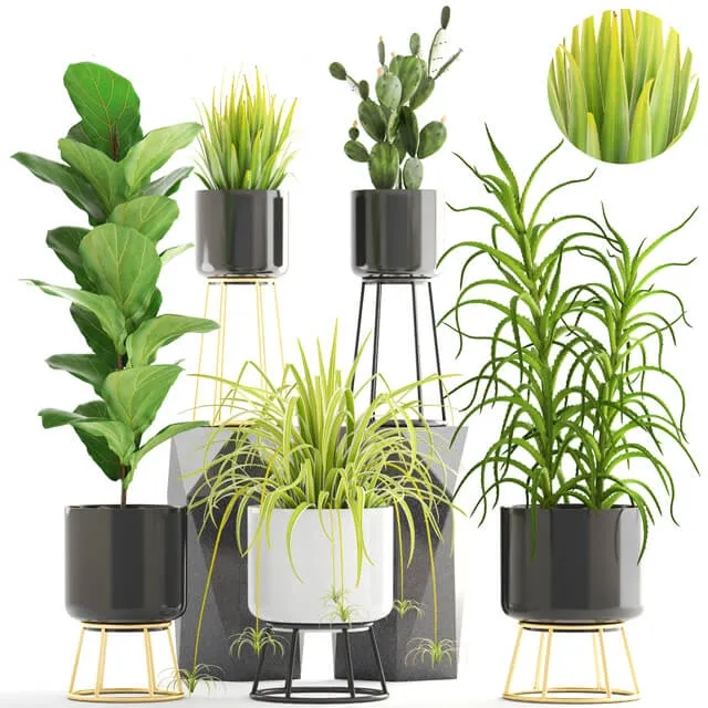 decoration – Plants in a pot 05 3D Model decoration – Plants in a pot 05 3D Model