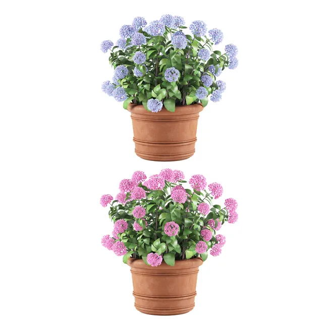 decoration – Plants in a pot 05 3D Model