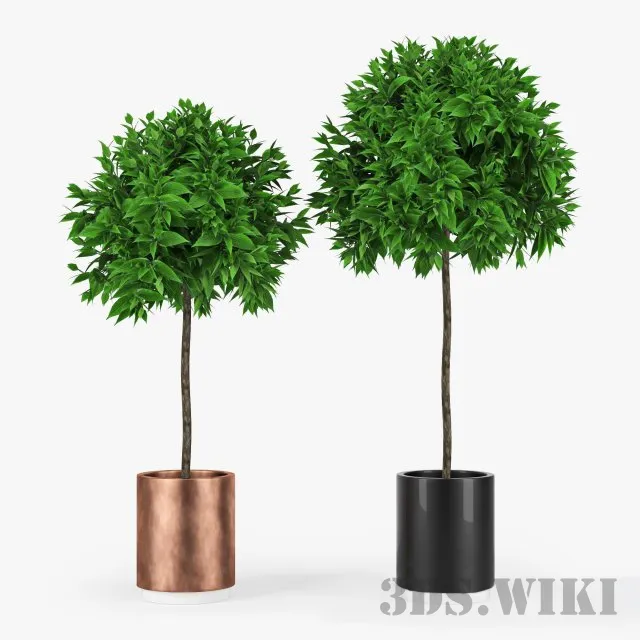 decoration – Plants in black and bronze pot 3D Model decoration – Plants in black and bronze pot 3D Model