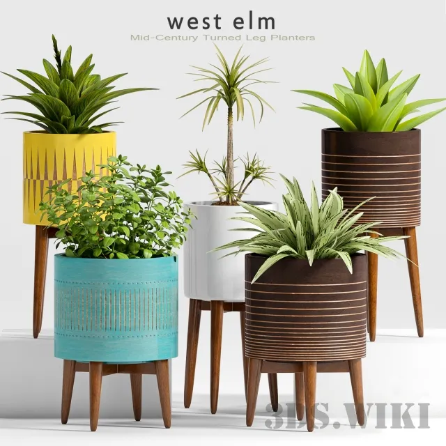 decoration – Plants in different pots West Elm 3D Model
