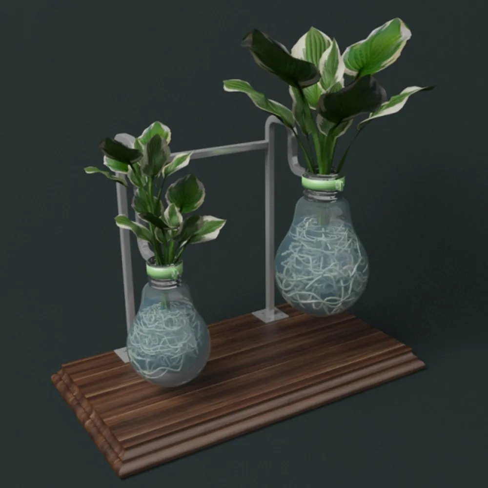 decoration – Plants in flasks 3D Model