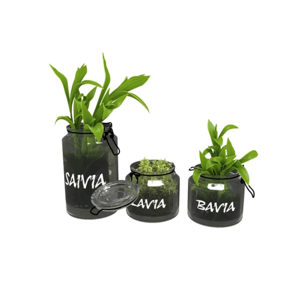 decoration – Plants in jars 3D Model