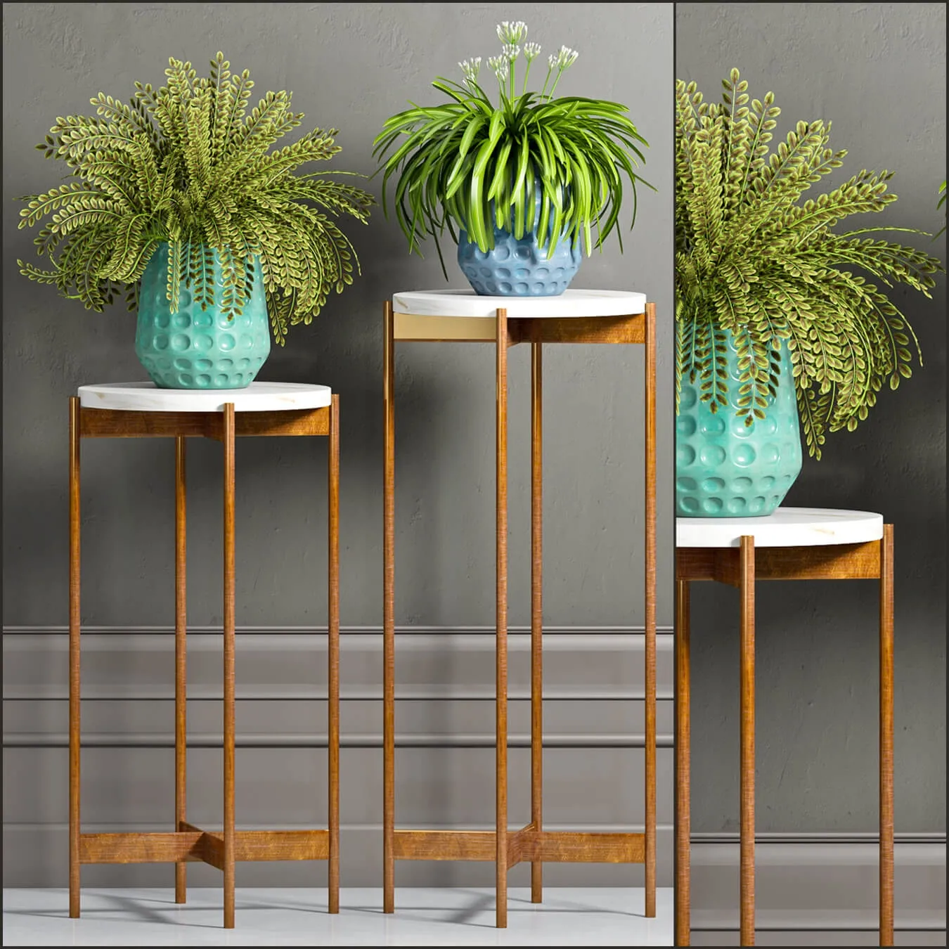 decoration – Plants in pot 5555 3D Model decoration – Plants in pot 5555 3D Model