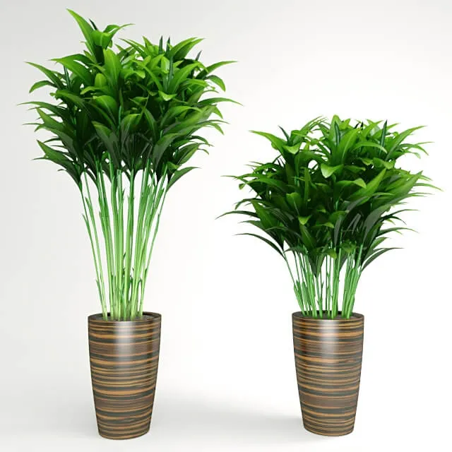 decoration – Plants in pots 020 3D Model decoration – Plants in pots 020 3D Model