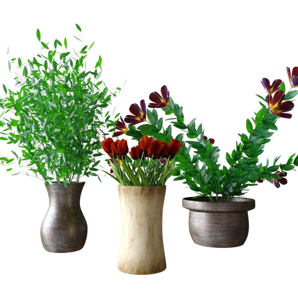 decoration – Plants in pots 023 3D Model decoration – Plants in pots 023 3D Model