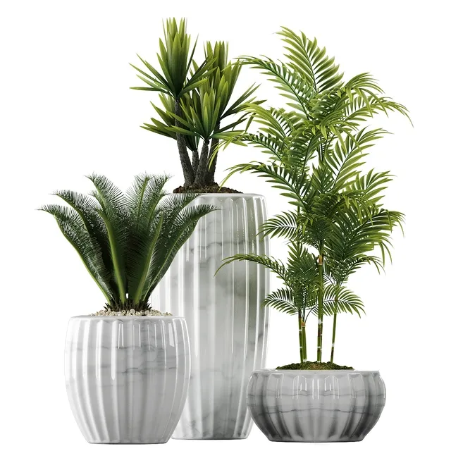 decoration – Plants in Pots 140 3D Model decoration – Plants in Pots 140 3D Model