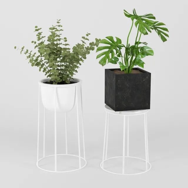 decoration – Plants in Pots 202 3D Model decoration – Plants in Pots 202 3D Model