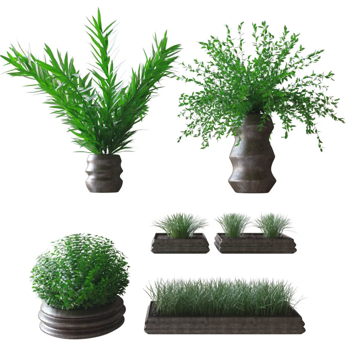 decoration – Plants in pots 3D Model