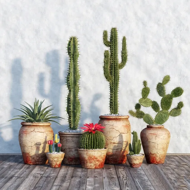 decoration – Plants in pots 554 3D Model decoration – Plants in pots 554 3D Model