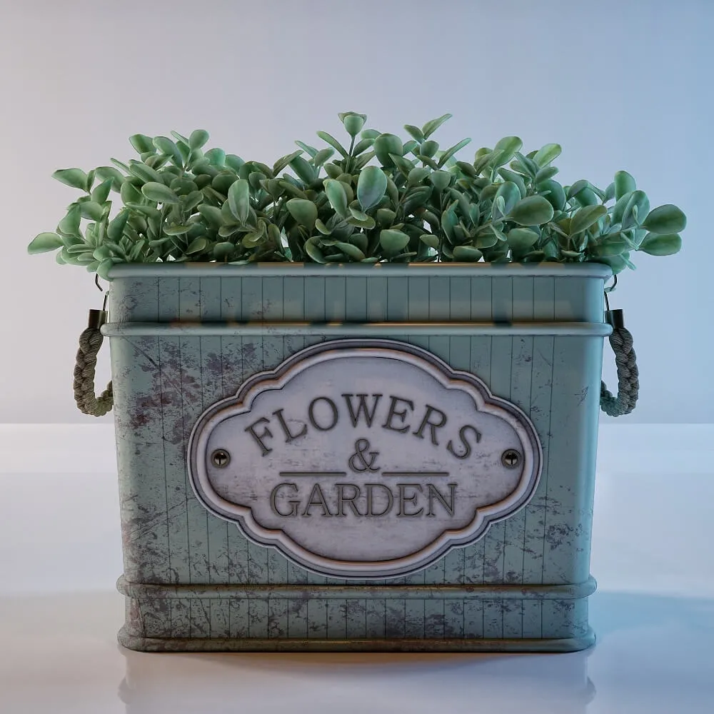 decoration – Plants in the style of Provence 3D Model