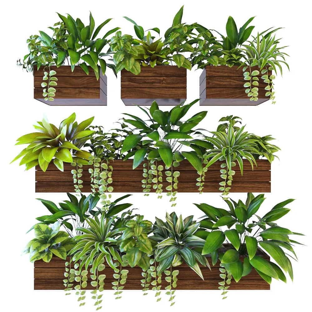 decoration – Plants on the wall 2 3D Model