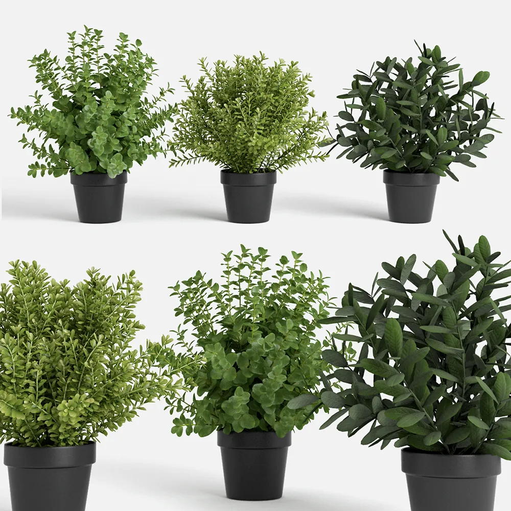 decoration – Plants set 100 3D Model