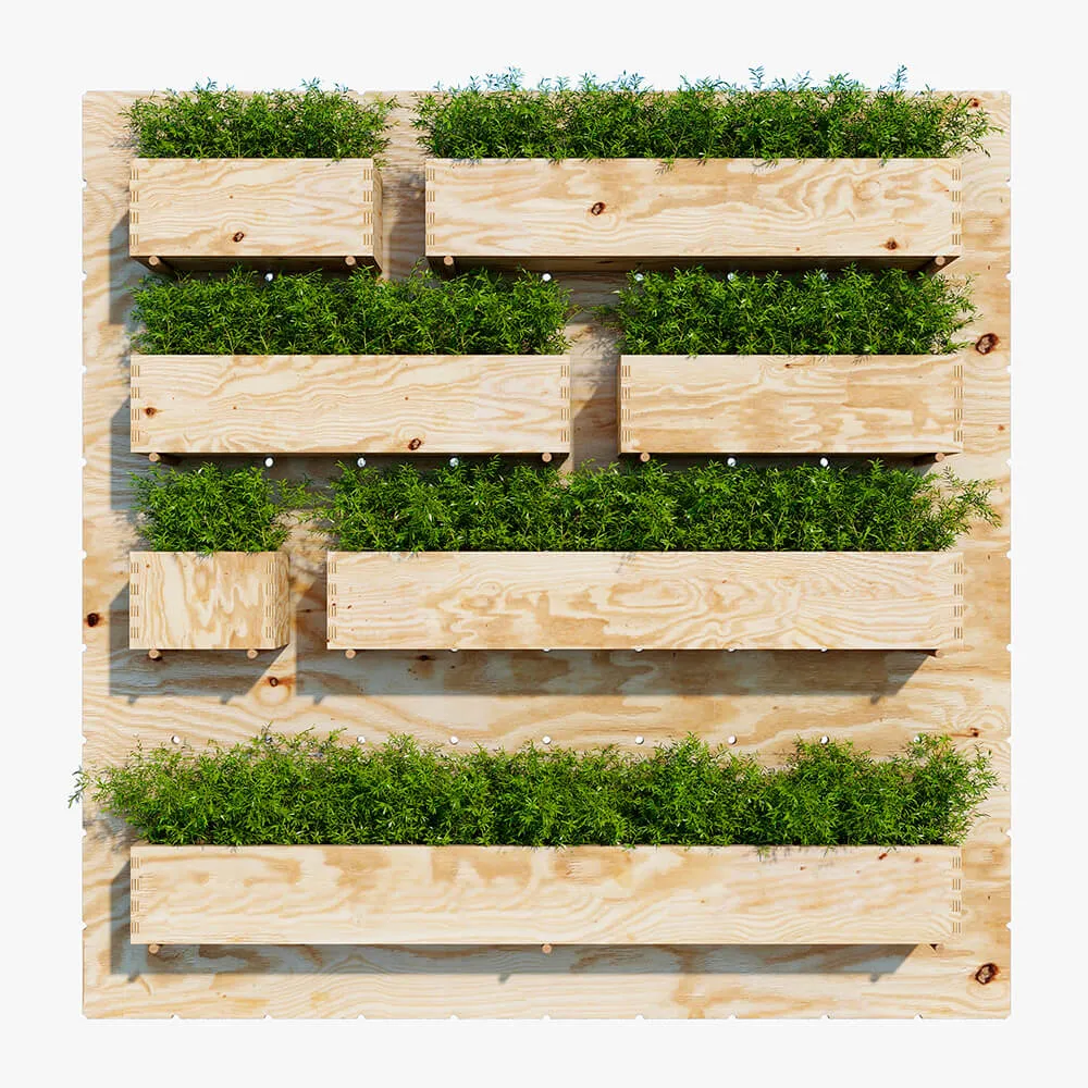 decoration – Plants set 134 3D Model