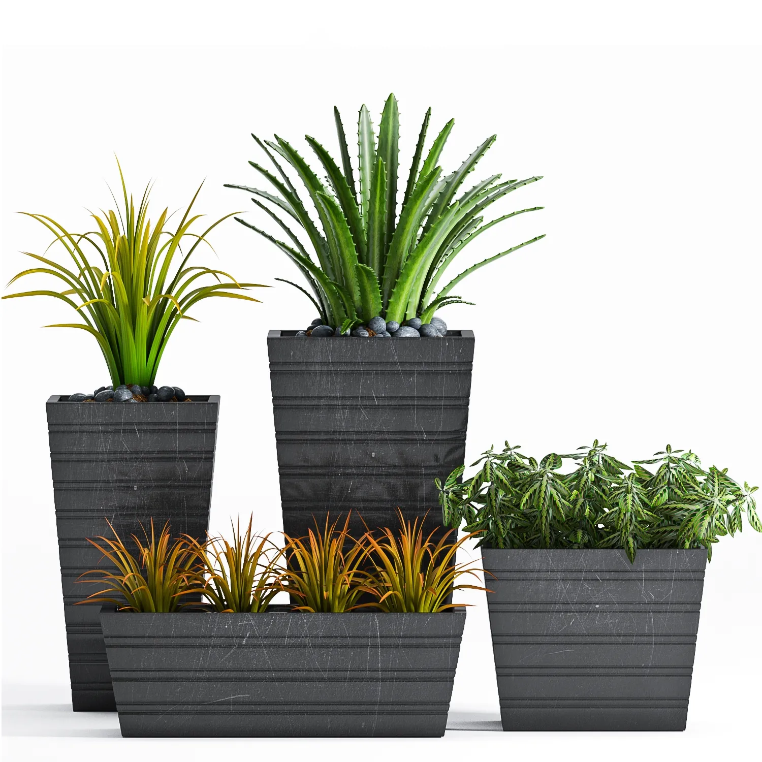 decoration – Plants set 22 3D Model