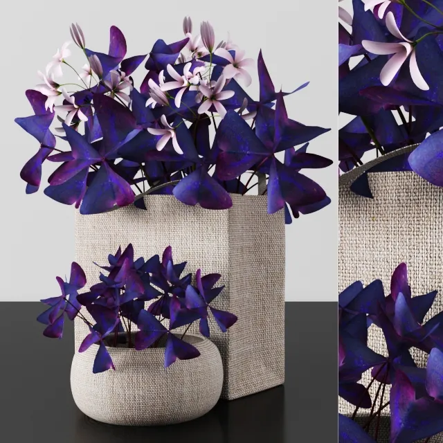 decoration – Plants tree 54 3D Model