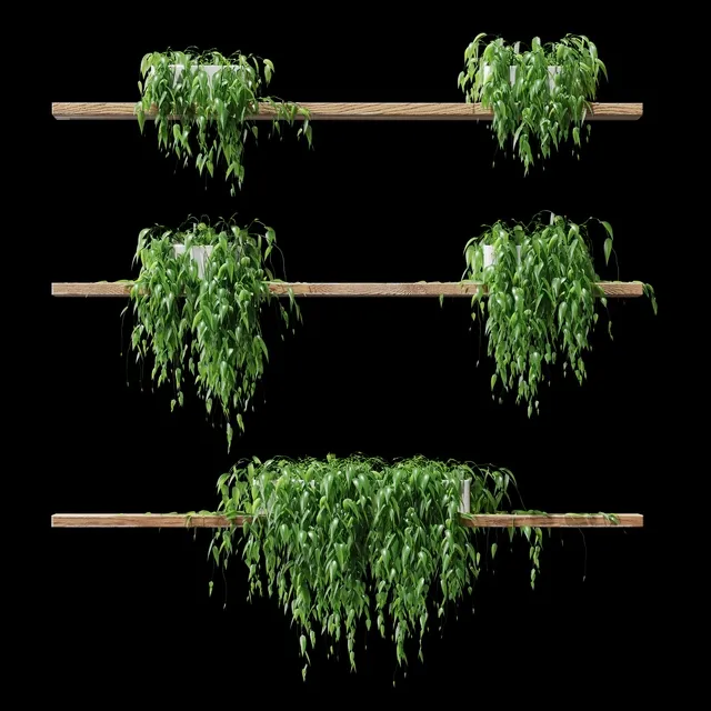 decoration – Potted plants on the shelves v2 3D Model