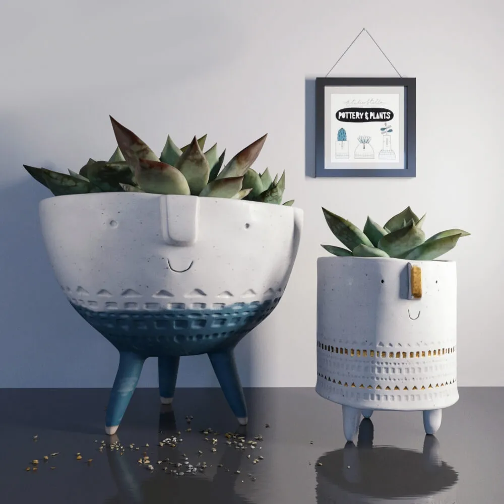 decoration – Pottern and plants 1 3D Model