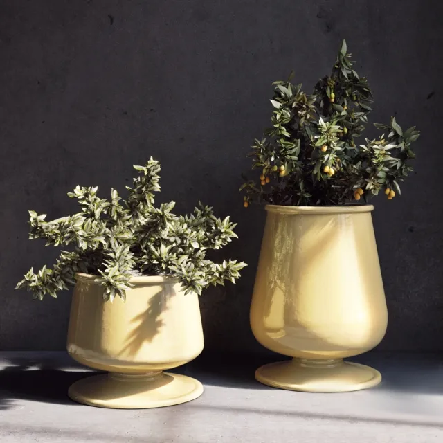 decoration – Pottery plant 2 3D Model