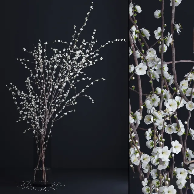 decoration – Prunus White Blossom 3D Model