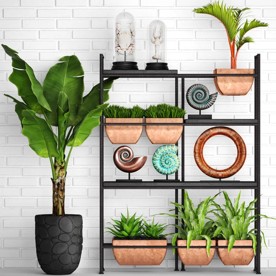 decoration – Rack with plants 3D Model
