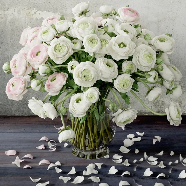 decoration – Ranunculus 2 3D Model